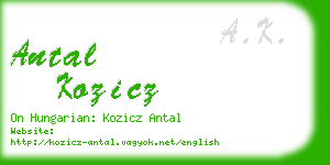 antal kozicz business card